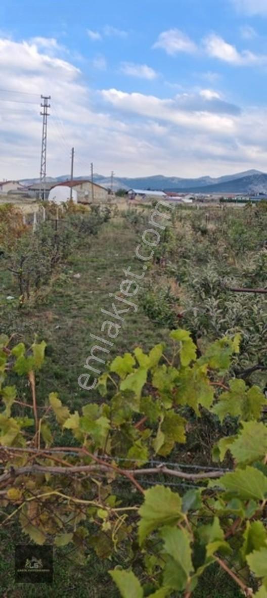 Ladik Mahallesi Çanakçı Mevkii 450 M2 Konut İmarlı Satılık Arsa — fotoğraf 5