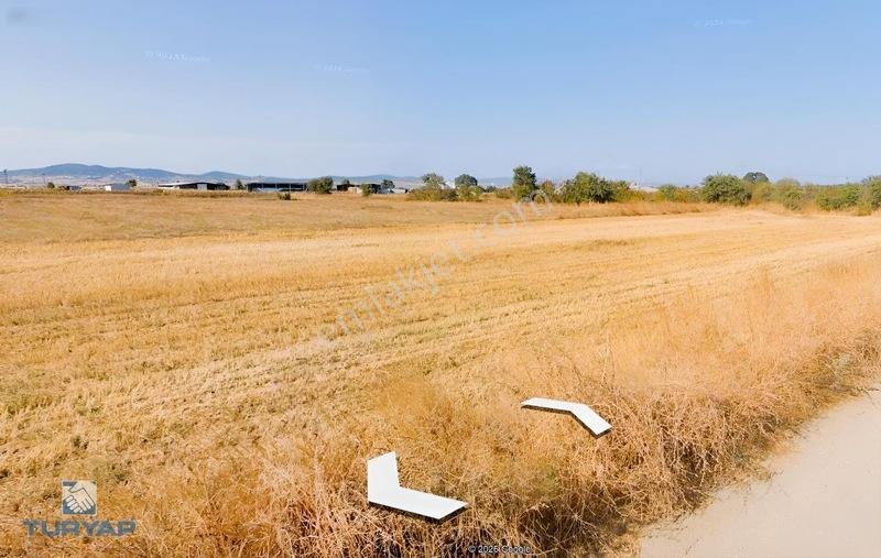 Çanakkale Biga Göktepe Köyünde Satılık 777 M² Bağ