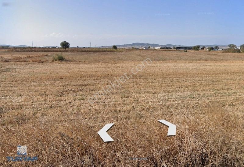 Çanakkale Biga Göktepe Köyünde Satılık 777 M² Bağ — fotoğraf 3