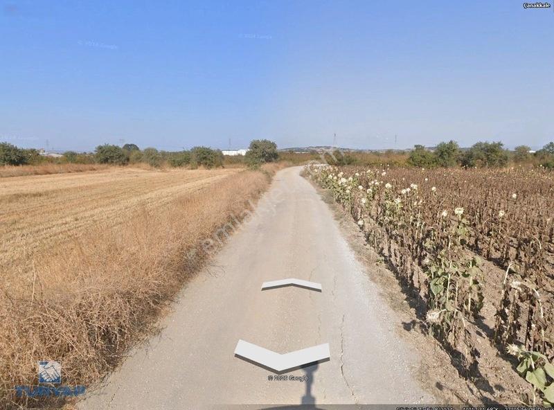 Çanakkale Biga Göktepe Köyünde Satılık 777 M² Bağ — fotoğraf 4