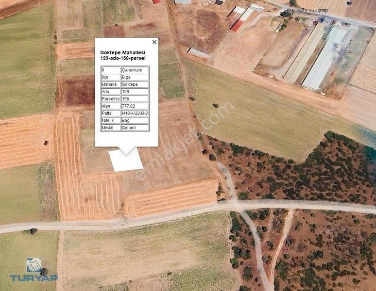 Çanakkale Biga Göktepe Köyünde Satılık 777 M² Bağ — fotoğraf 5