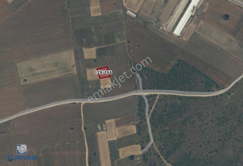 Çanakkale Biga Göktepe Köyünde Satılık 777 M² Bağ — fotoğraf 8