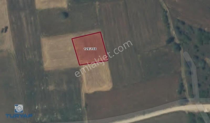 Çanakkale Biga Göktepe Köyünde Satılık 777 M² Bağ — fotoğraf 9