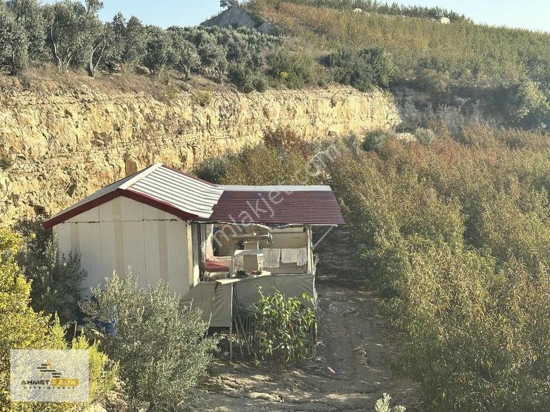 Ahmet Kara'Dan İhsaniye(Bağcılar) Mah.De Satılık 28 Dönüm Bahçe