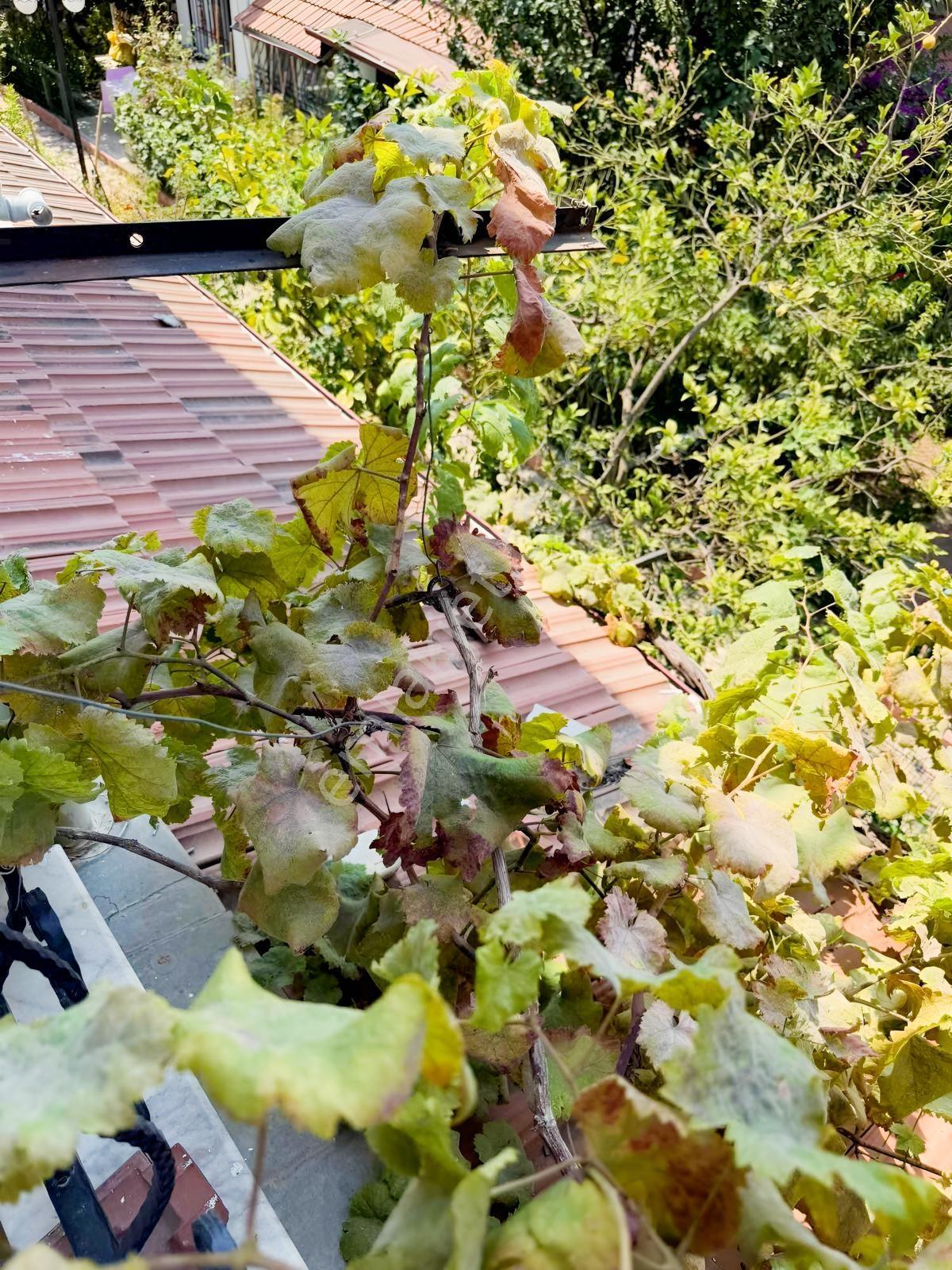 Hsn Emlak'tan Güzelçamlıda Satılık Villa — fotoğraf 35