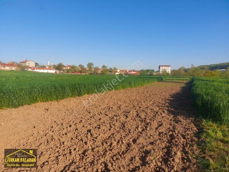 Karacaklavuz'da İmara Komşu Kadastral Yollu 1.103 M² Tarla — fotoğraf 3