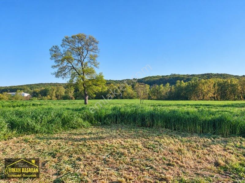 Karacaklavuz'da İmara Komşu Kadastral Yollu 1.103 M² Tarla — fotoğraf 6