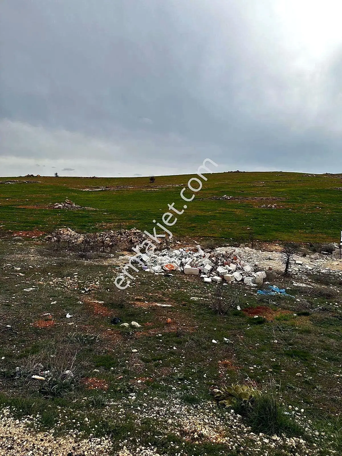 Geneyik'te Asfalta Sıfır Zeytinlik Yanı 11.219 M² Satılık Arazi — fotoğraf 2