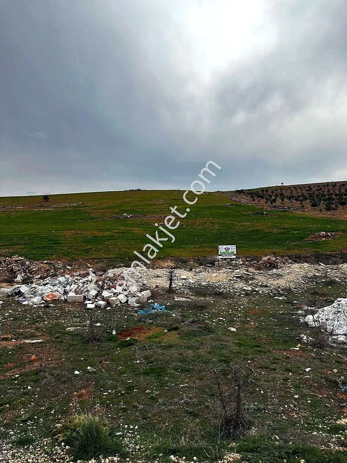 Geneyik'te Asfalta Sıfır Zeytinlik Yanı 11.219 M² Satılık Arazi — fotoğraf 3