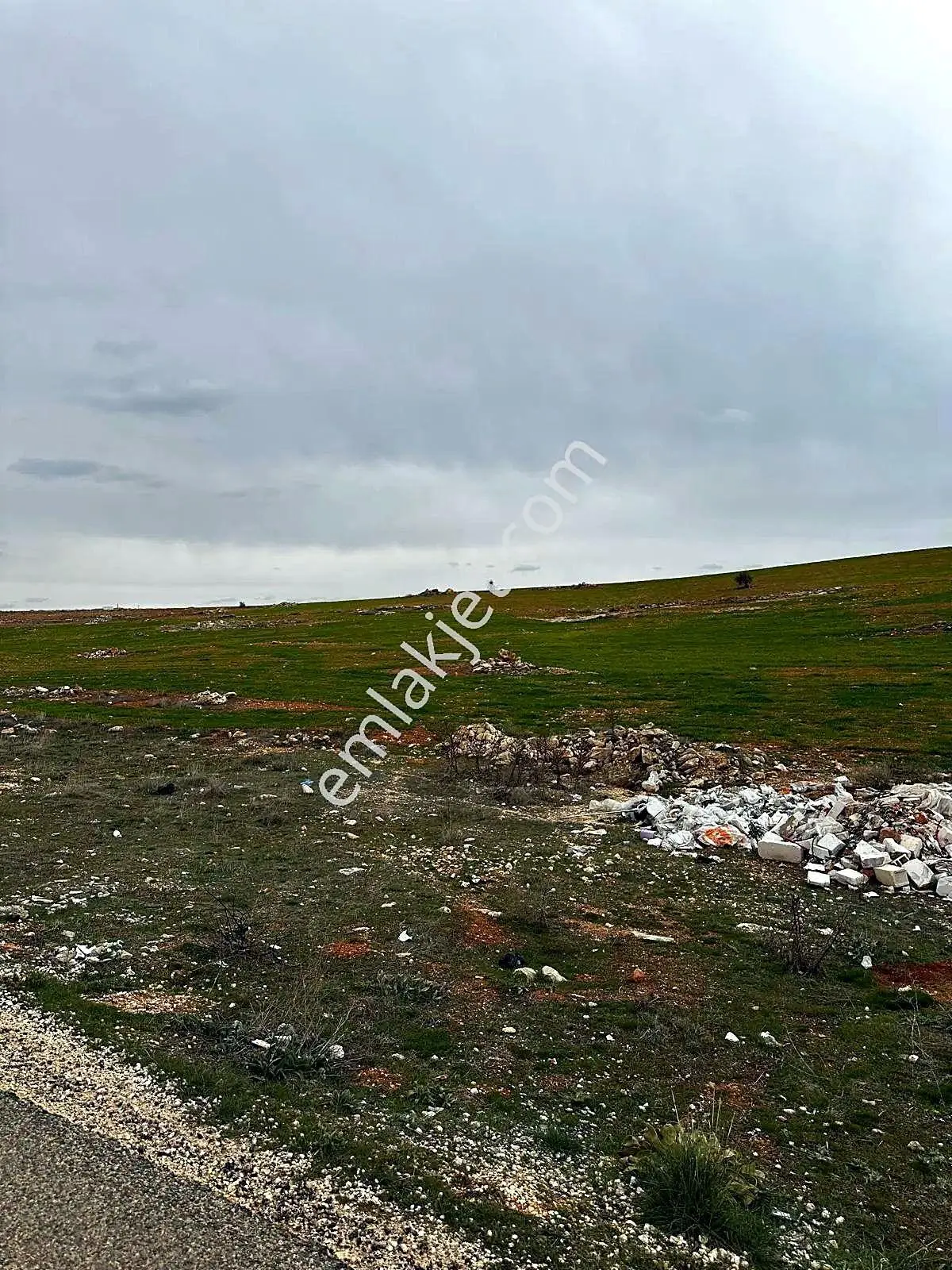 Geneyik'te Asfalta Sıfır Zeytinlik Yanı 11.219 M² Satılık Arazi — fotoğraf 4