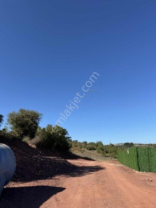 Gebze Mollafenari Köyü Yollu 215 M2 Tarla — fotoğraf 5