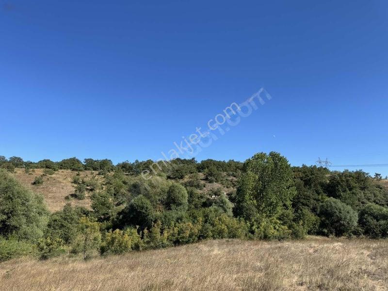 Gebze Mollafenari Köyü Yollu 215 M2 Tarla — fotoğraf 9