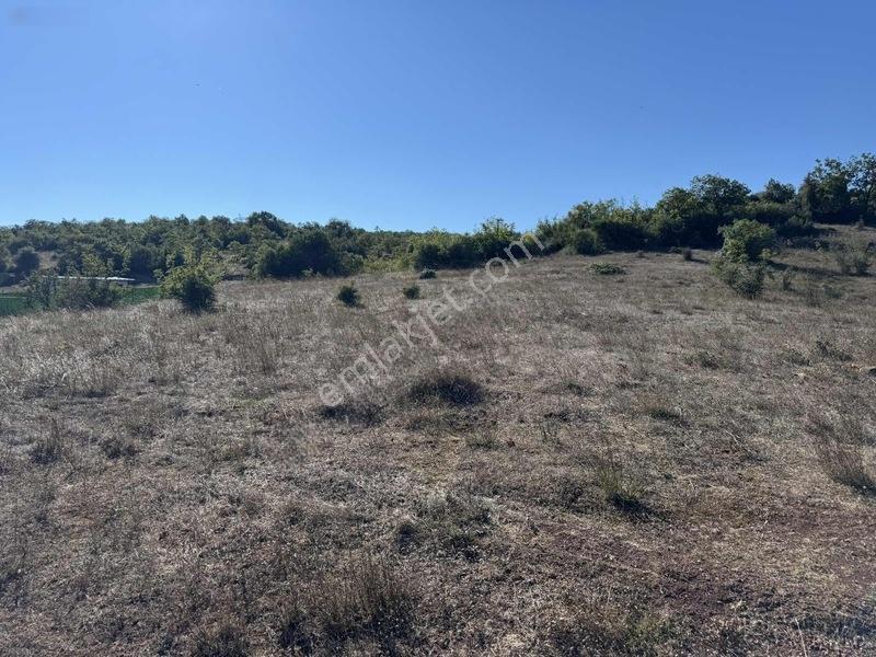 Gebze Mollafenari Köyü Yollu 215 M2 Tarla — fotoğraf 10
