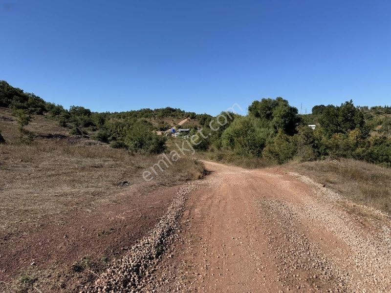 Gebze Mollafenari Köyü Yollu 215 M2 Tarla — fotoğraf 11