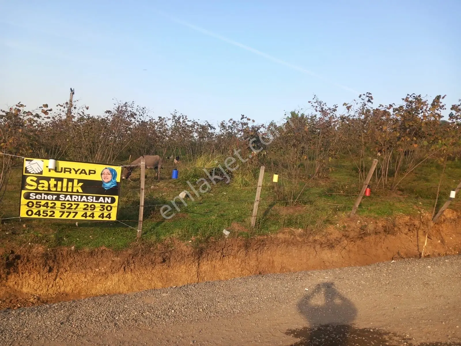 Altınordu Yukarıtepe’de Geleceğine Yatırım Yap! İmar Çalışmasıyla Öne Çıkan 1.998 M² Fındık Bahçesi — fotoğraf 6