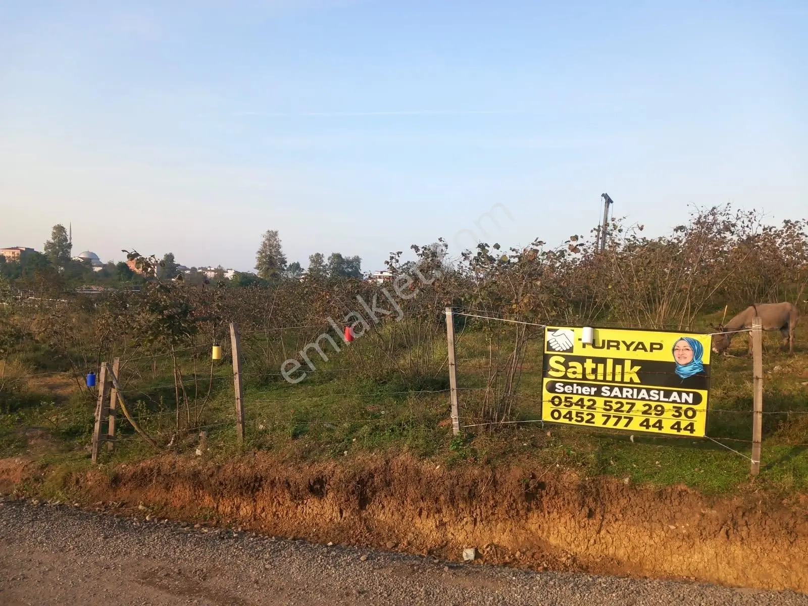 Altınordu Yukarıtepe’de Geleceğine Yatırım Yap! İmar Çalışmasıyla Öne Çıkan 1.998 M² Fındık Bahçesi — fotoğraf 9