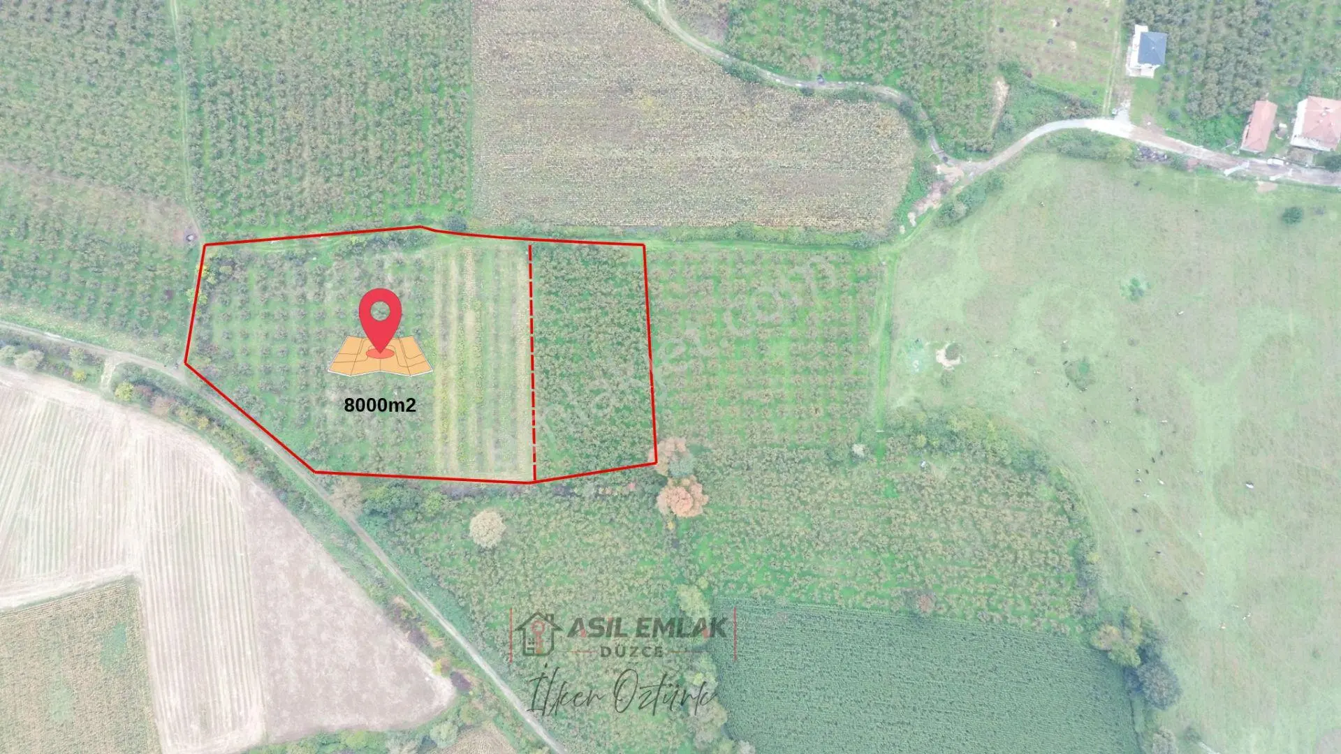 Asil Emlak | Yayakbaşı Köyünde 8000m2 Satılık Hisseli Tarla — fotoğraf 2