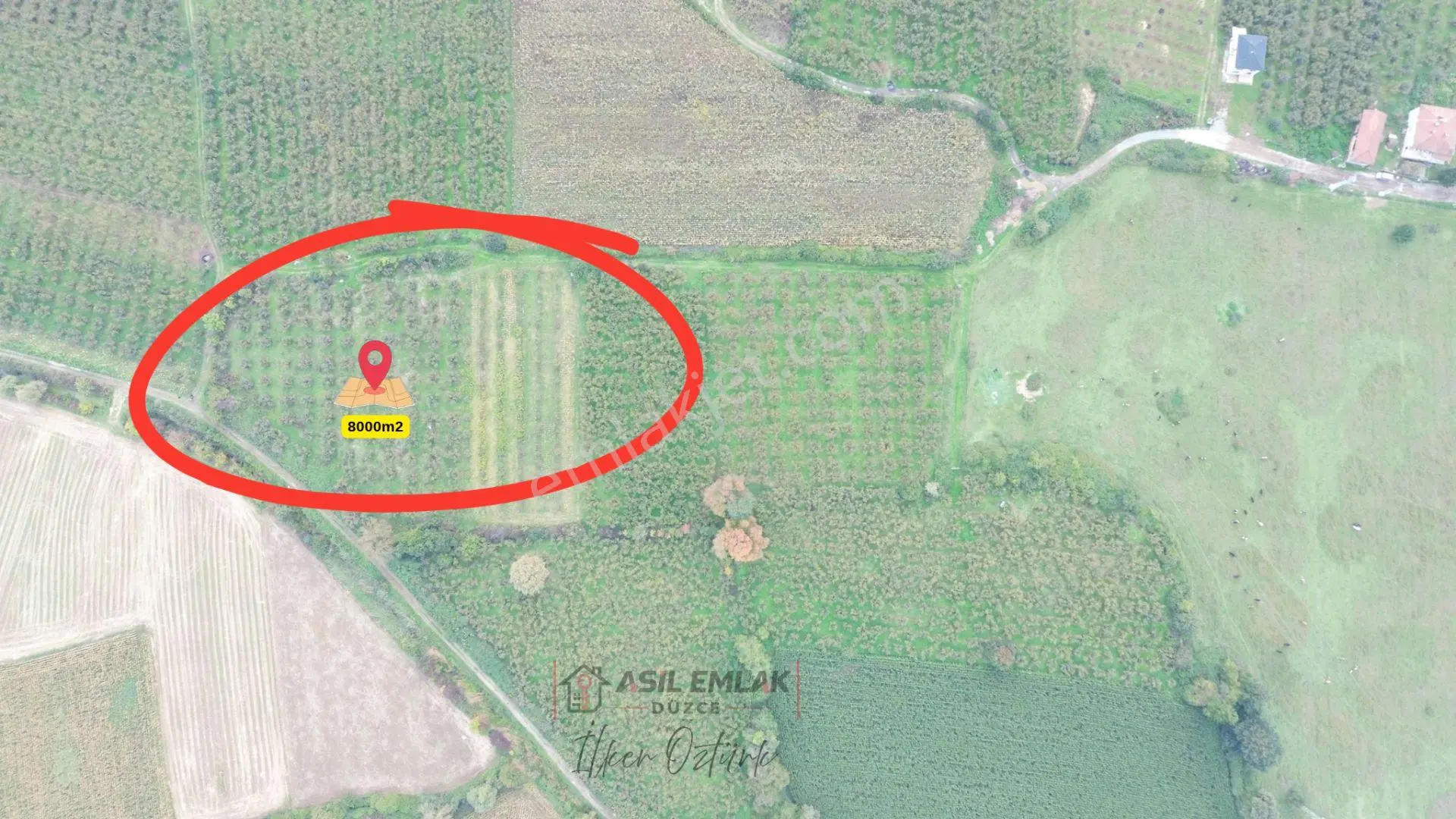 Asil Emlak | Yayakbaşı Köyünde 8000m2 Satılık Hisseli Tarla — fotoğraf 4
