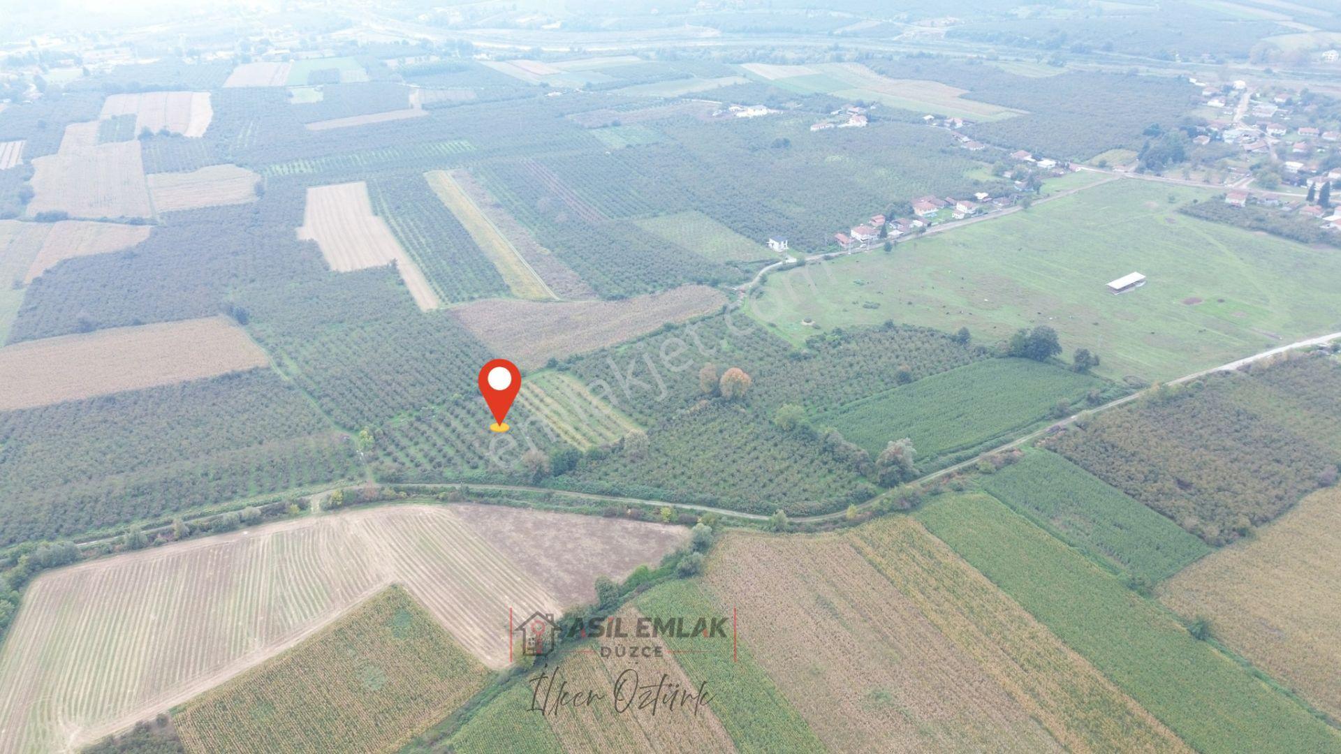 Asil Emlak | Yayakbaşı Köyünde 8000m2 Satılık Hisseli Tarla — fotoğraf 6