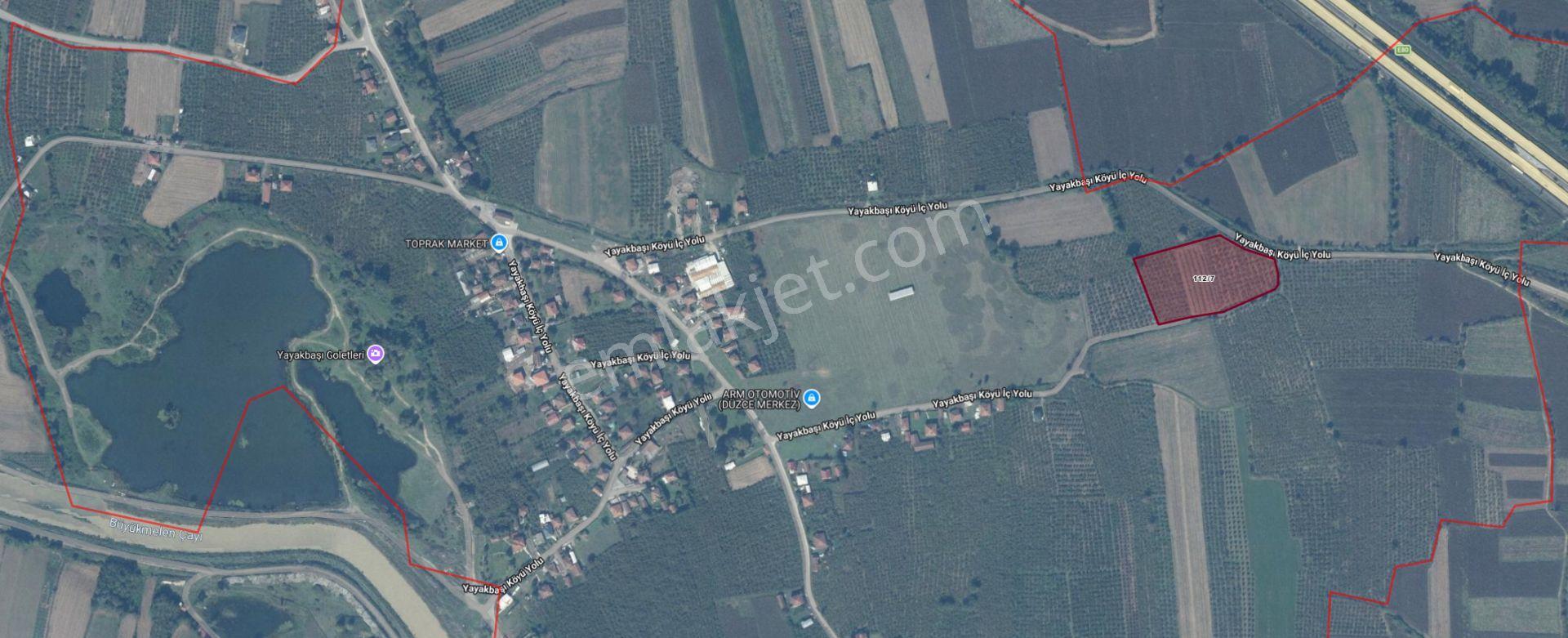 Asil Emlak | Yayakbaşı Köyünde 8000m2 Satılık Hisseli Tarla — fotoğraf 7