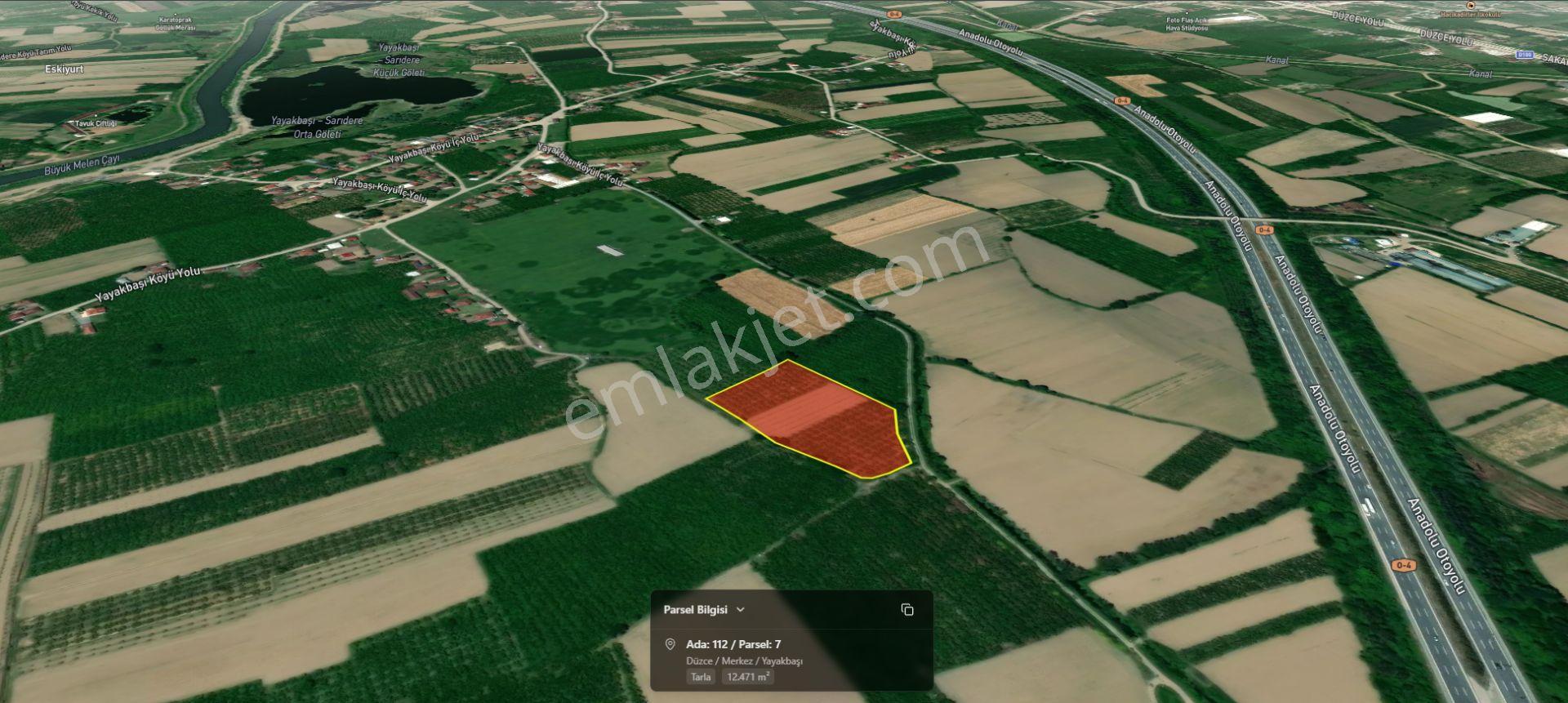 Asil Emlak | Yayakbaşı Köyünde 8000m2 Satılık Hisseli Tarla — fotoğraf 10