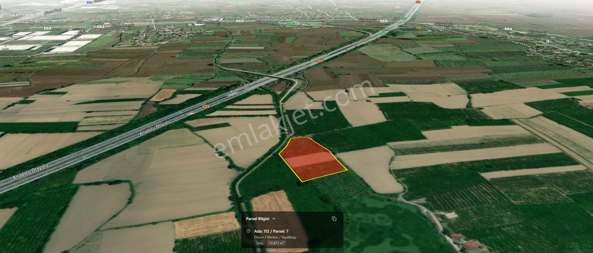 Asil Emlak | Yayakbaşı Köyünde 8000m2 Satılık Hisseli Tarla — fotoğraf 11