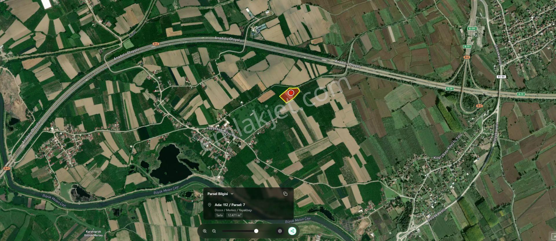 Asil Emlak | Yayakbaşı Köyünde 8000m2 Satılık Hisseli Tarla — fotoğraf 12
