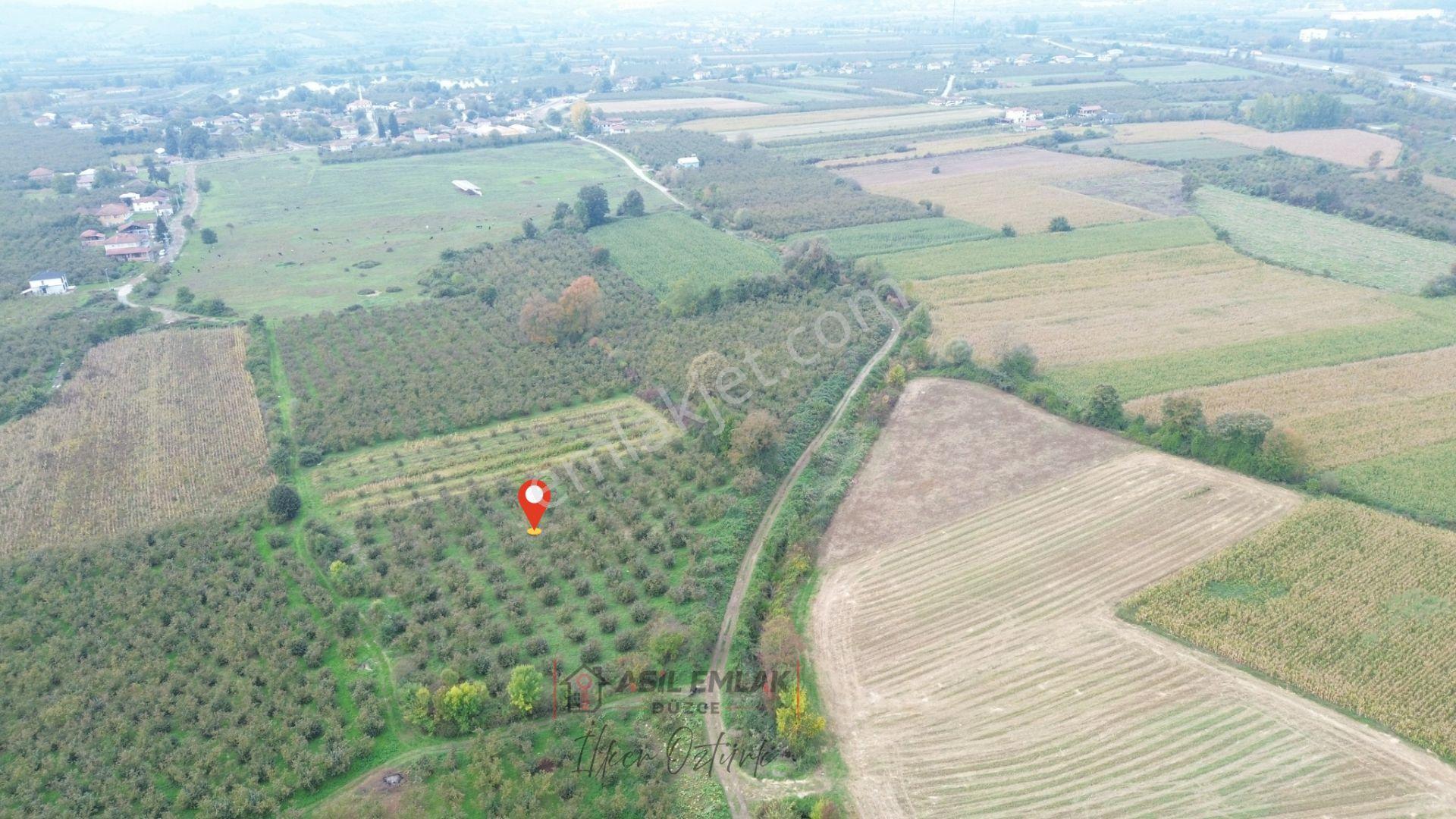 Asil Emlak | Yayakbaşı Köyünde 8000m2 Satılık Hisseli Tarla — fotoğraf 13