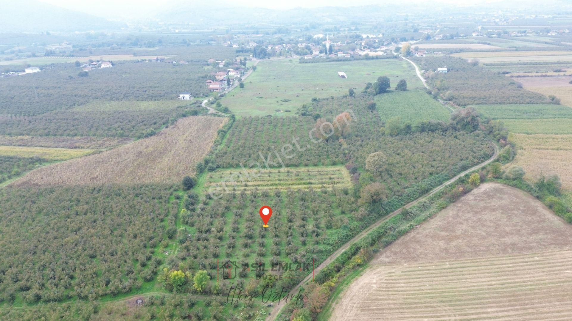 Asil Emlak | Yayakbaşı Köyünde 8000m2 Satılık Hisseli Tarla — fotoğraf 14
