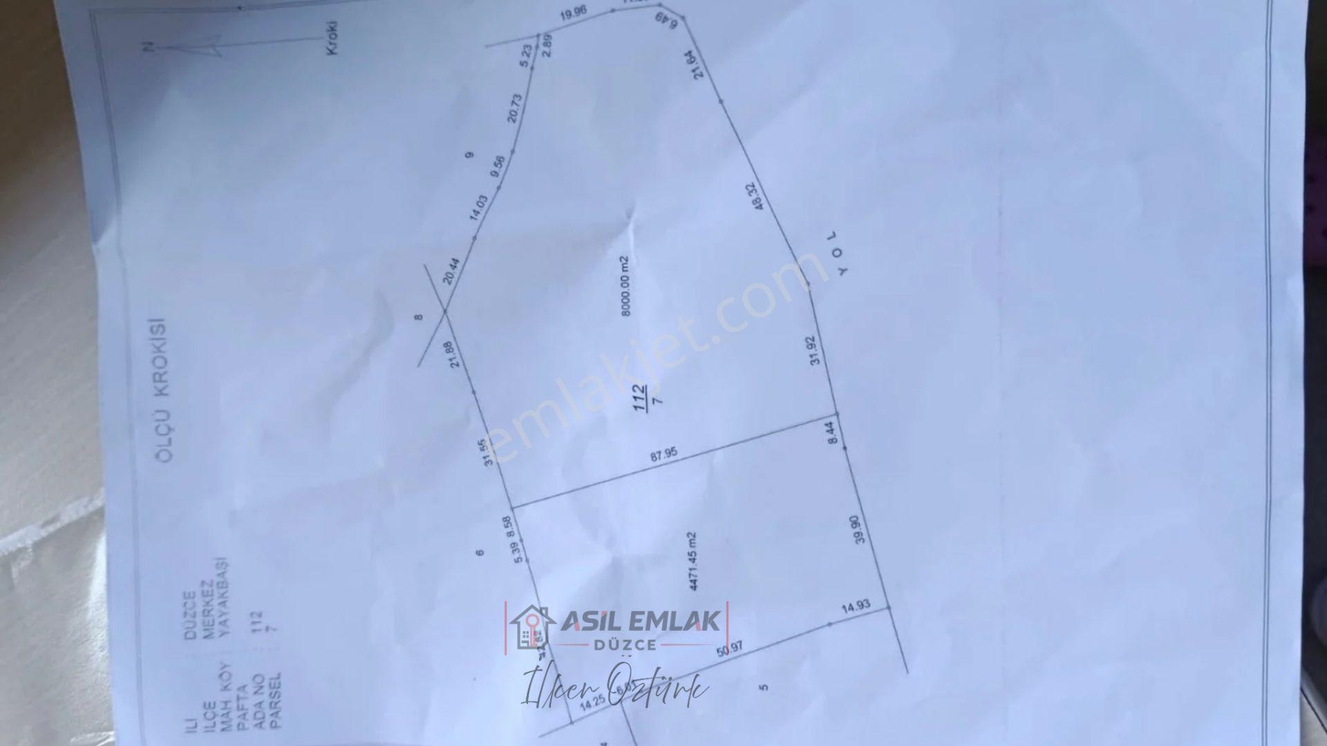 Asil Emlak | Yayakbaşı Köyünde 8000m2 Satılık Hisseli Tarla — fotoğraf 15