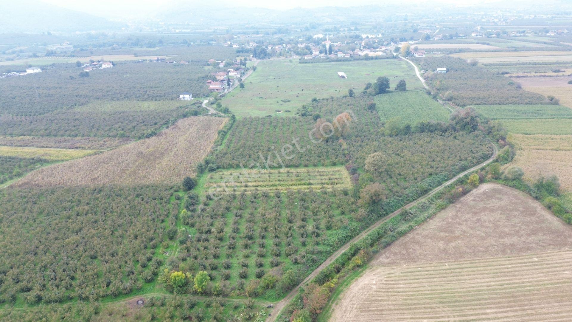 Asil Emlak | Yayakbaşı Köyünde 8000m2 Satılık Hisseli Tarla — fotoğraf 16