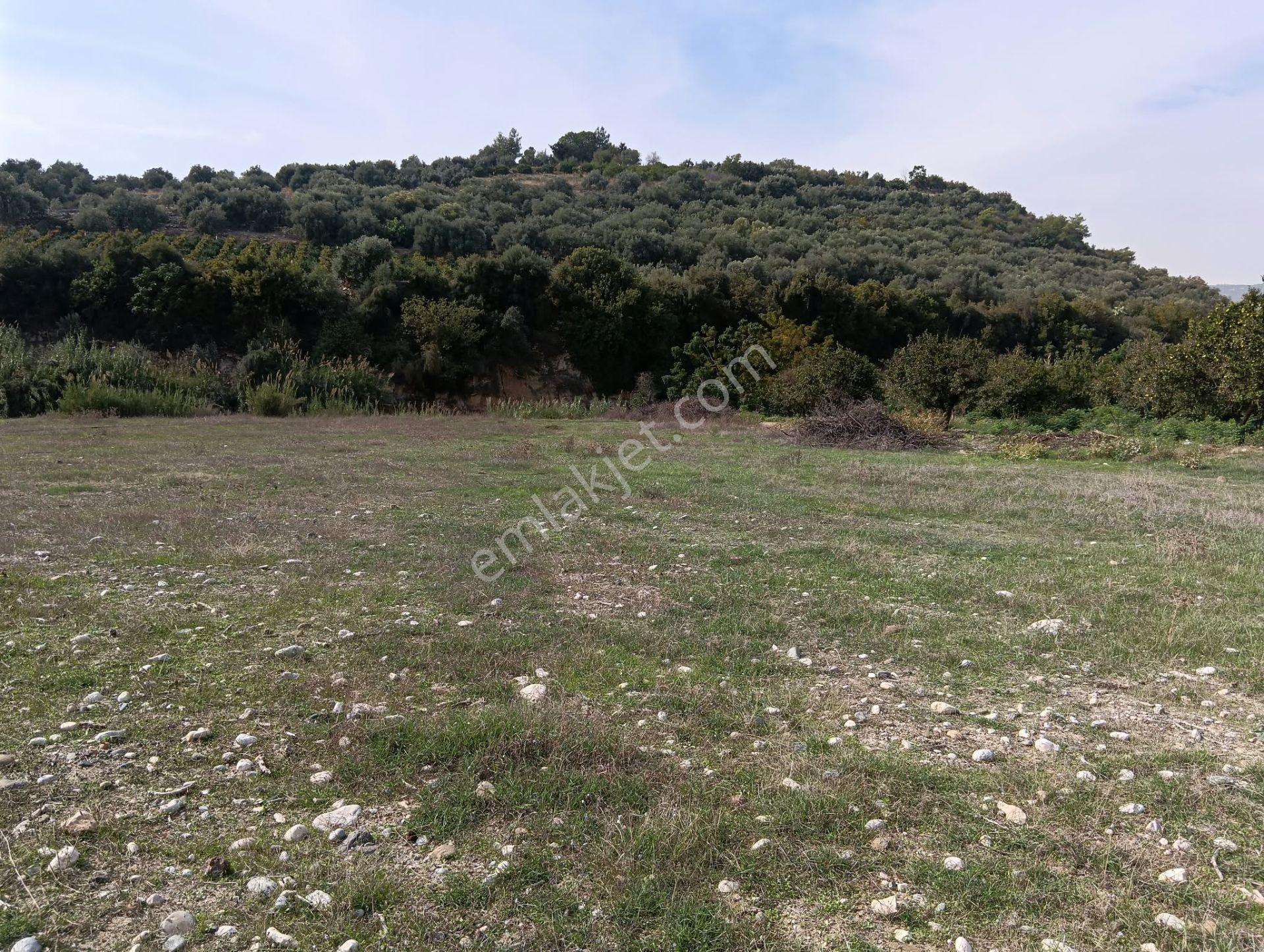 Fa Emlaktan Hebillide 8850m2 Satılık Tarla — fotoğraf 6
