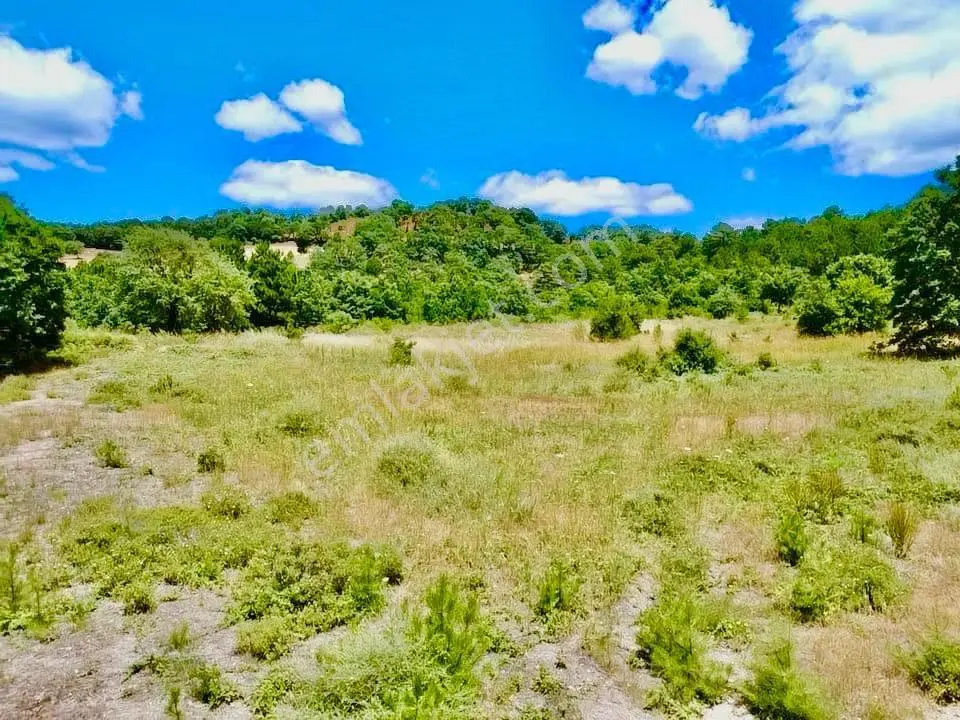 Balcity - Balıkesir Havran Kobaklar Mah.3.400 M2 Müstakil Tapulu Arazimiz Fırsat...