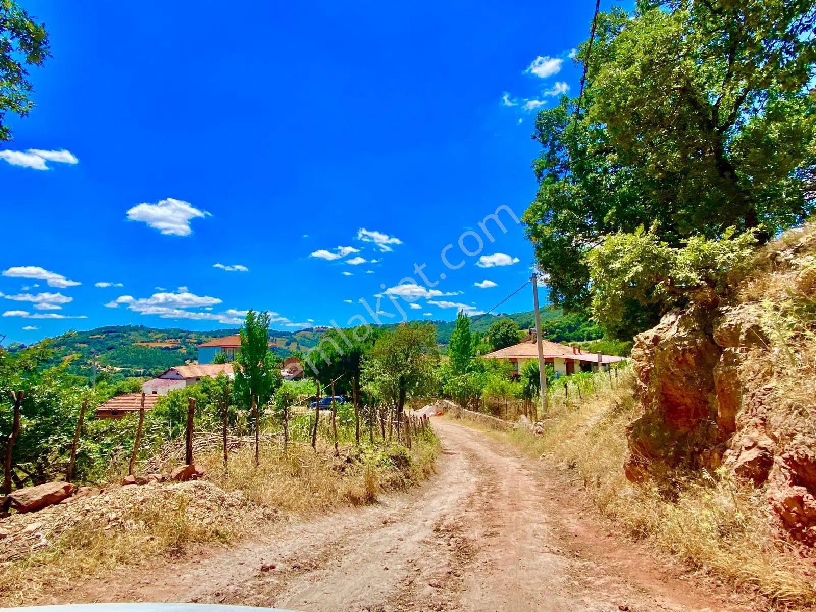 Balcity - Balıkesir Havran Kobaklar Mah.3.400 M2 Müstakil Tapulu Arazimiz Fırsat Fiyat — fotoğraf 5