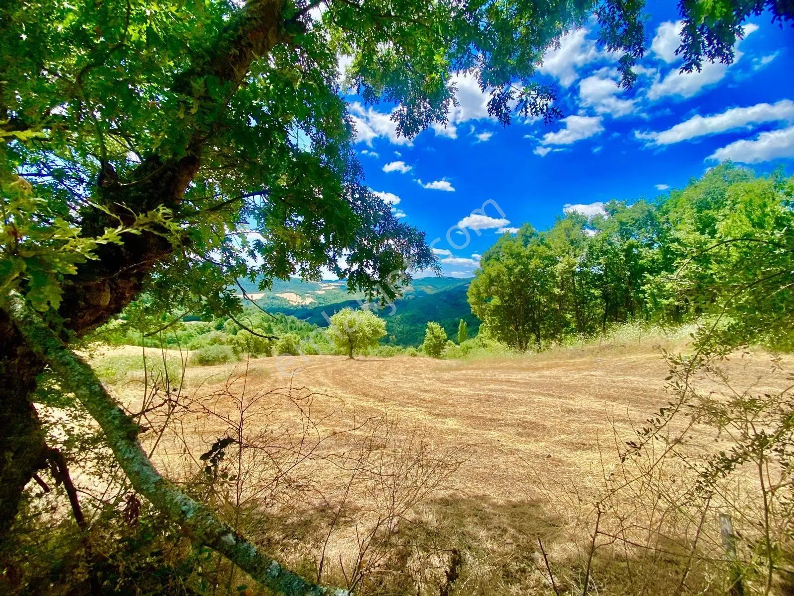 Balcity - Balıkesir Havran Kobaklar Mah.3.400 M2 Müstakil Tapulu Arazimiz Fırsat Fiyat — fotoğraf 7