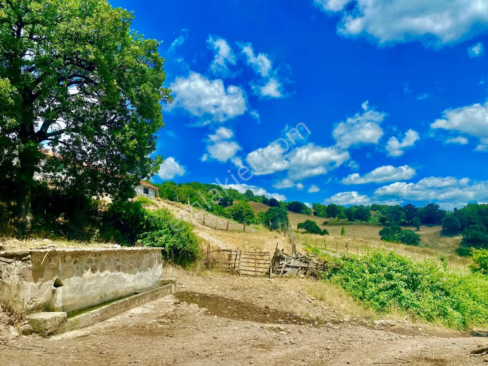 Balcity - Balıkesir Havran Kobaklar Mah.3.400 M2 Müstakil Tapulu Arazimiz Fırsat Fiyat — fotoğraf 10