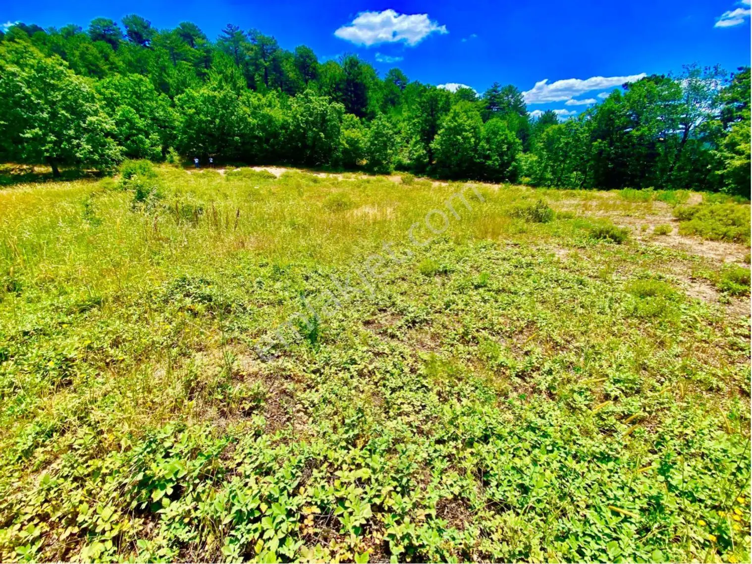Balcity - Balıkesir Havran Kobaklar Mah.3.400 M2 Müstakil Tapulu Arazimiz Fırsat Fiyat — fotoğraf 12