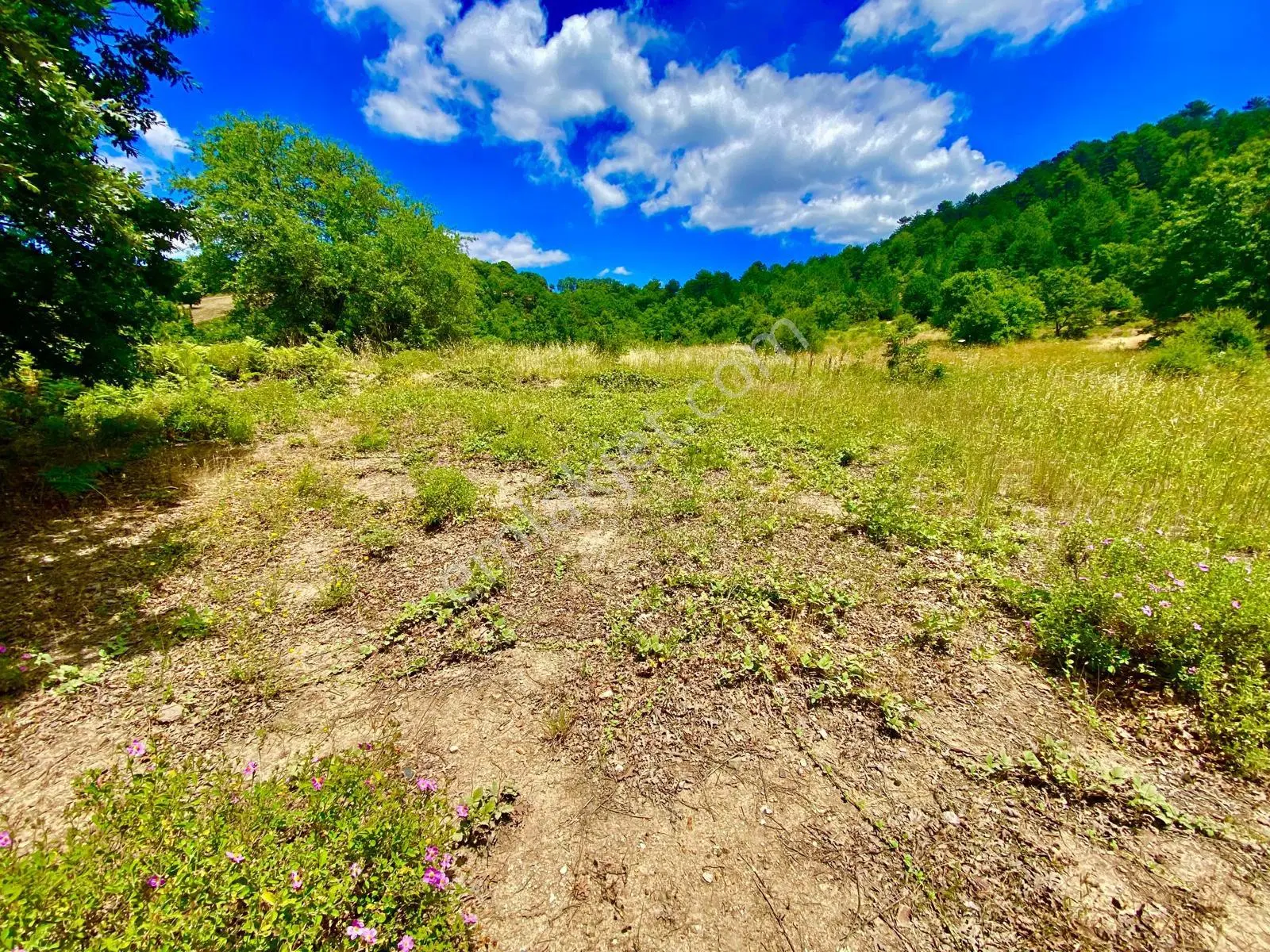 Balcity - Balıkesir Havran Kobaklar Mah.3.400 M2 Müstakil Tapulu Arazimiz Fırsat Fiyat — fotoğraf 13