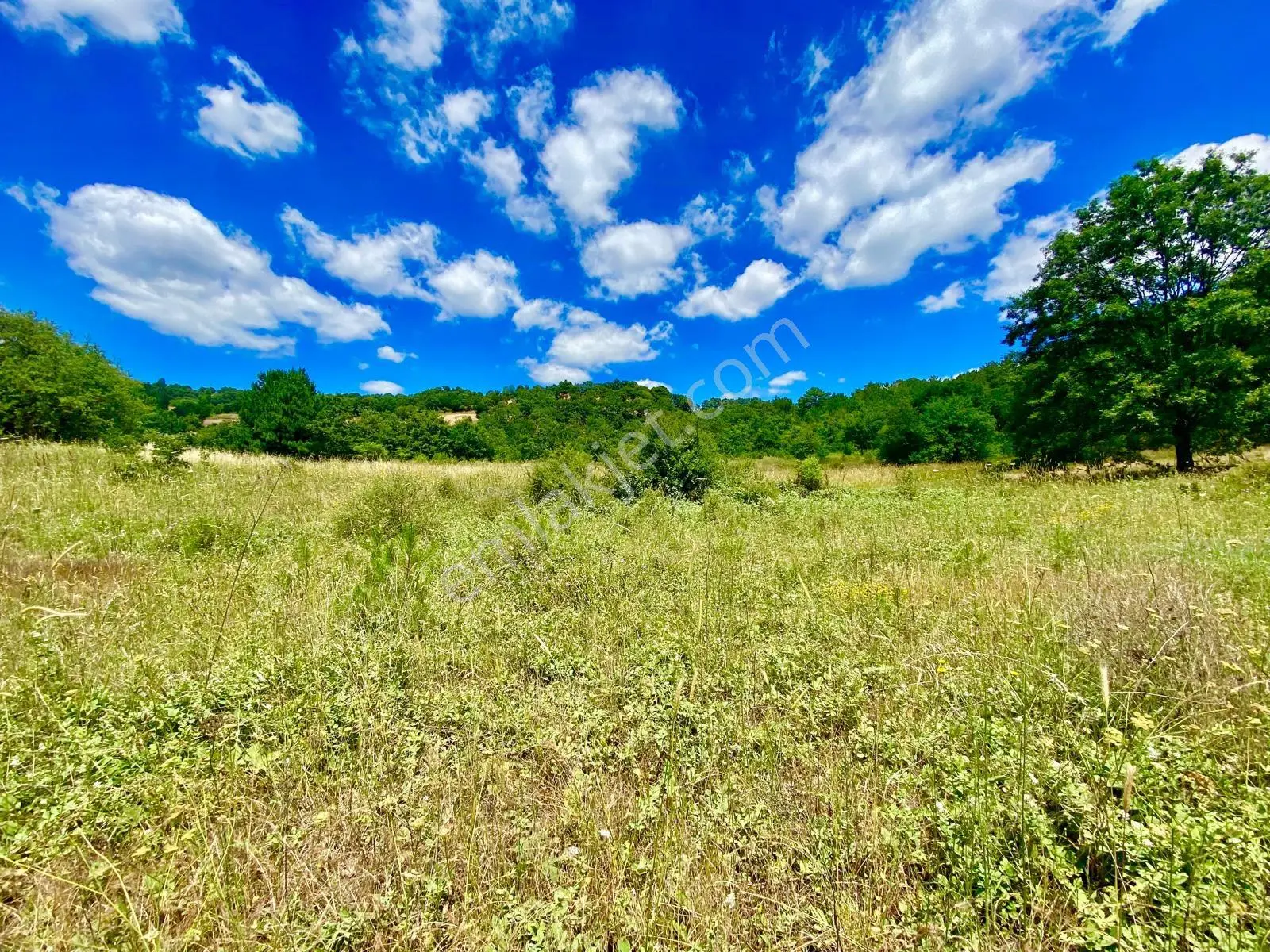 Balcity - Balıkesir Havran Kobaklar Mah.3.400 M2 Müstakil Tapulu Arazimiz Fırsat Fiyat — fotoğraf 14