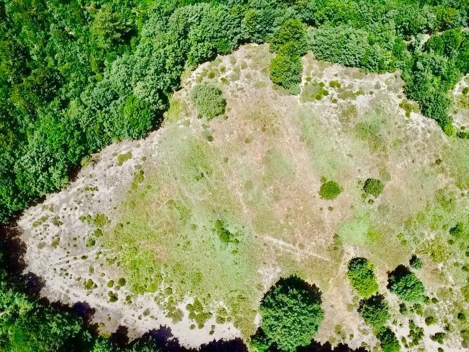 Balcity - Balıkesir Havran Kobaklar Mah.3.400 M2 Müstakil Tapulu Arazimiz Fırsat Fiyat — fotoğraf 15