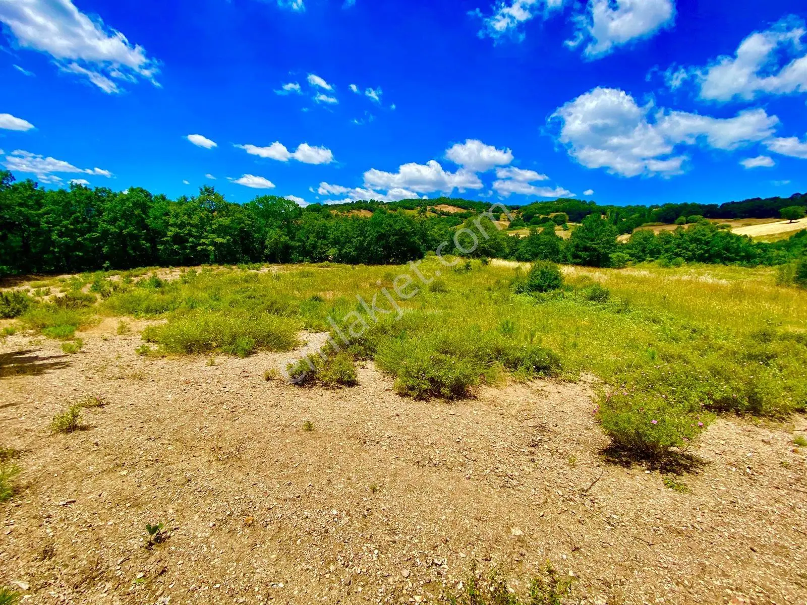 Balcity - Balıkesir Havran Kobaklar Mah.3.400 M2 Müstakil Tapulu Arazimiz Fırsat Fiyat — fotoğraf 17