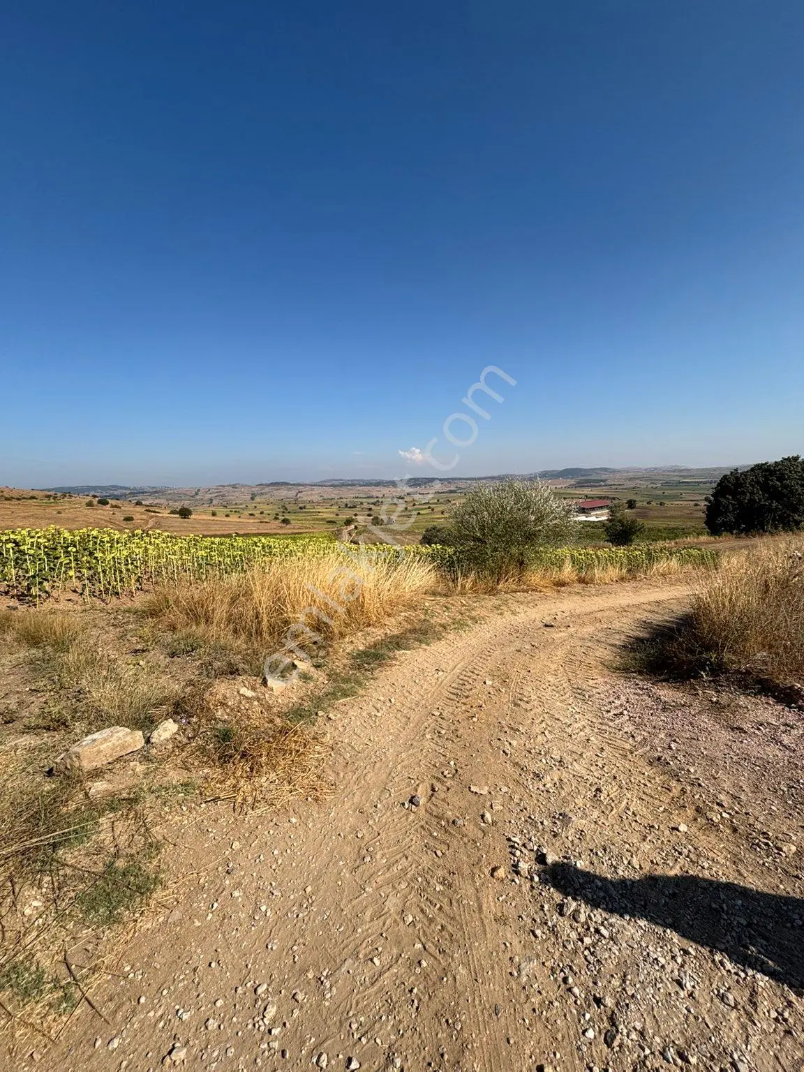 Balcity- Karesi/toybelen'de 6 Dönüm İmar Sınırında Tarla — fotoğraf 14