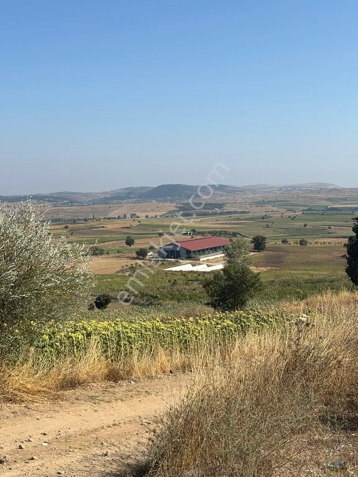 Balcity- Karesi/toybelen'de 6 Dönüm İmar Sınırında Tarla — fotoğraf 18