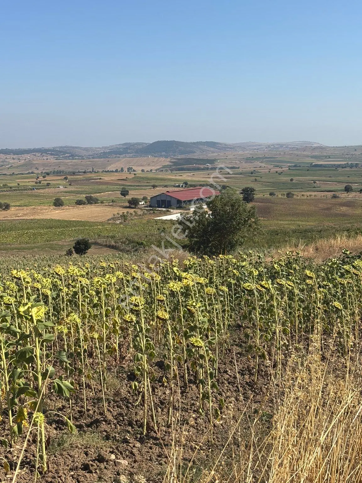 Balcity- Karesi/toybelen'de 6 Dönüm İmar Sınırında Tarla — fotoğraf 23