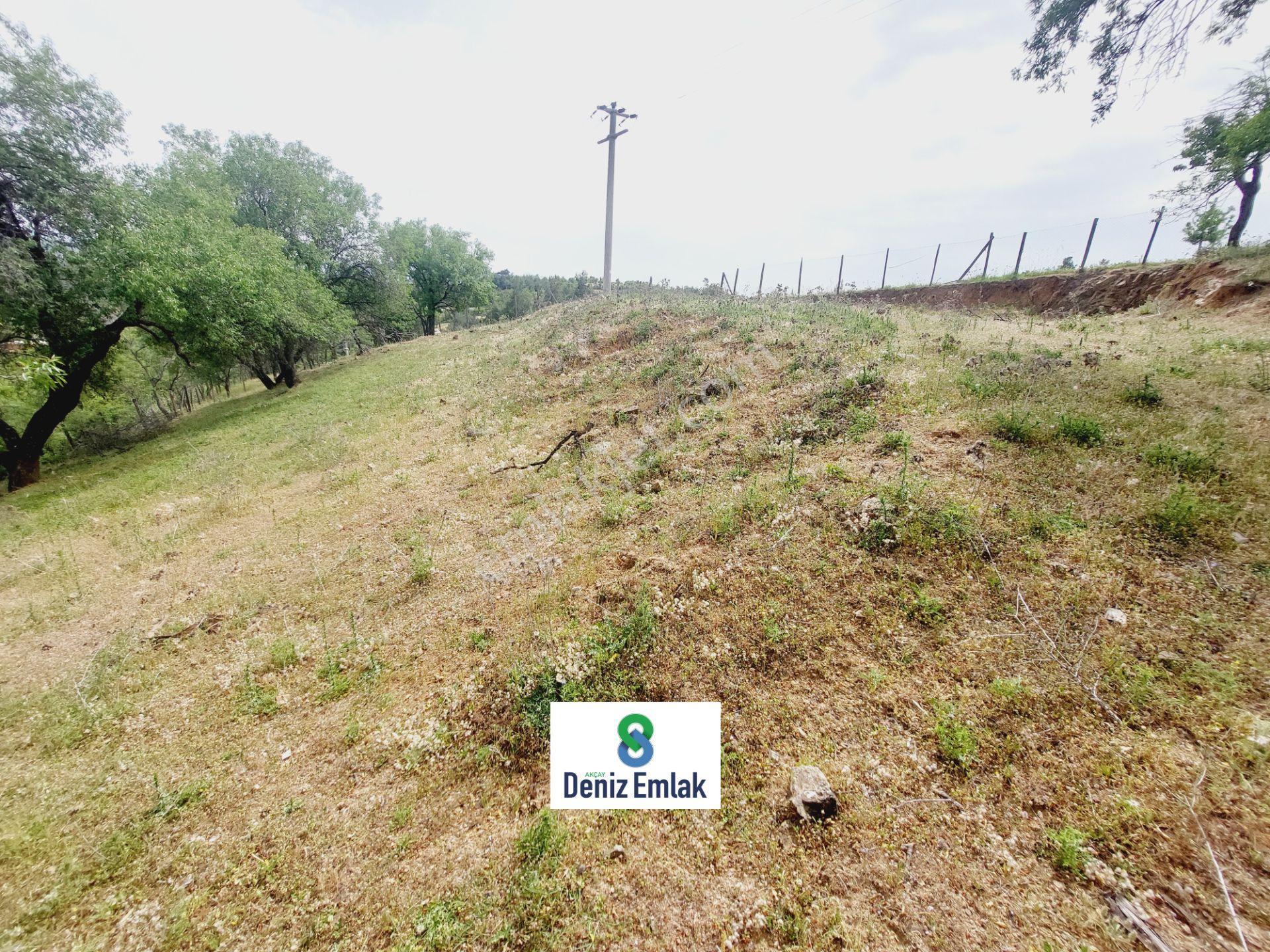 Denizden Havranda Satılık Yola Cephe Yatırımlık 1.014 M2 Bahçe. — fotoğraf 11