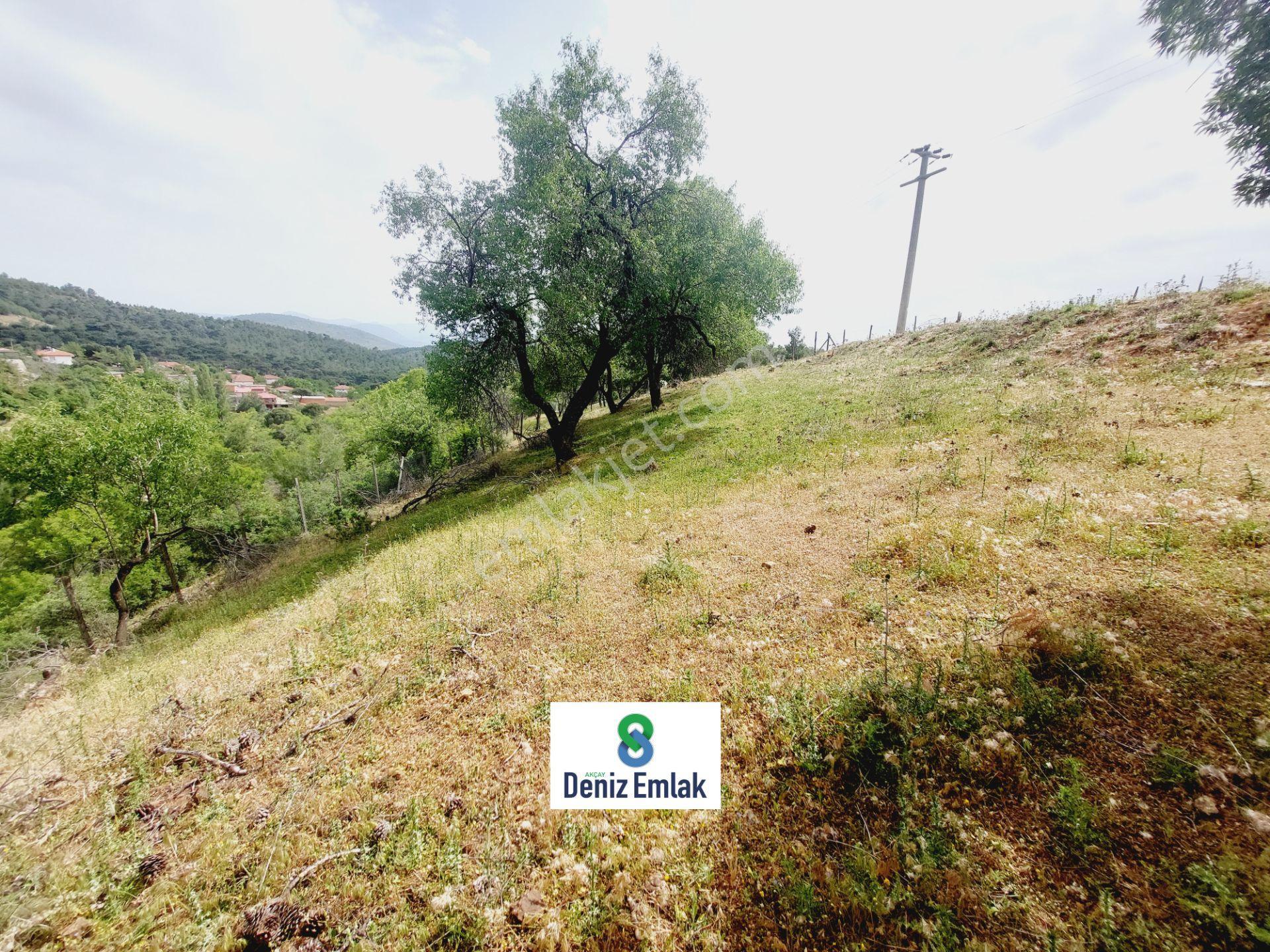 Denizden Havranda Satılık Yola Cephe Yatırımlık 1.014 M2 Bahçe. — fotoğraf 12