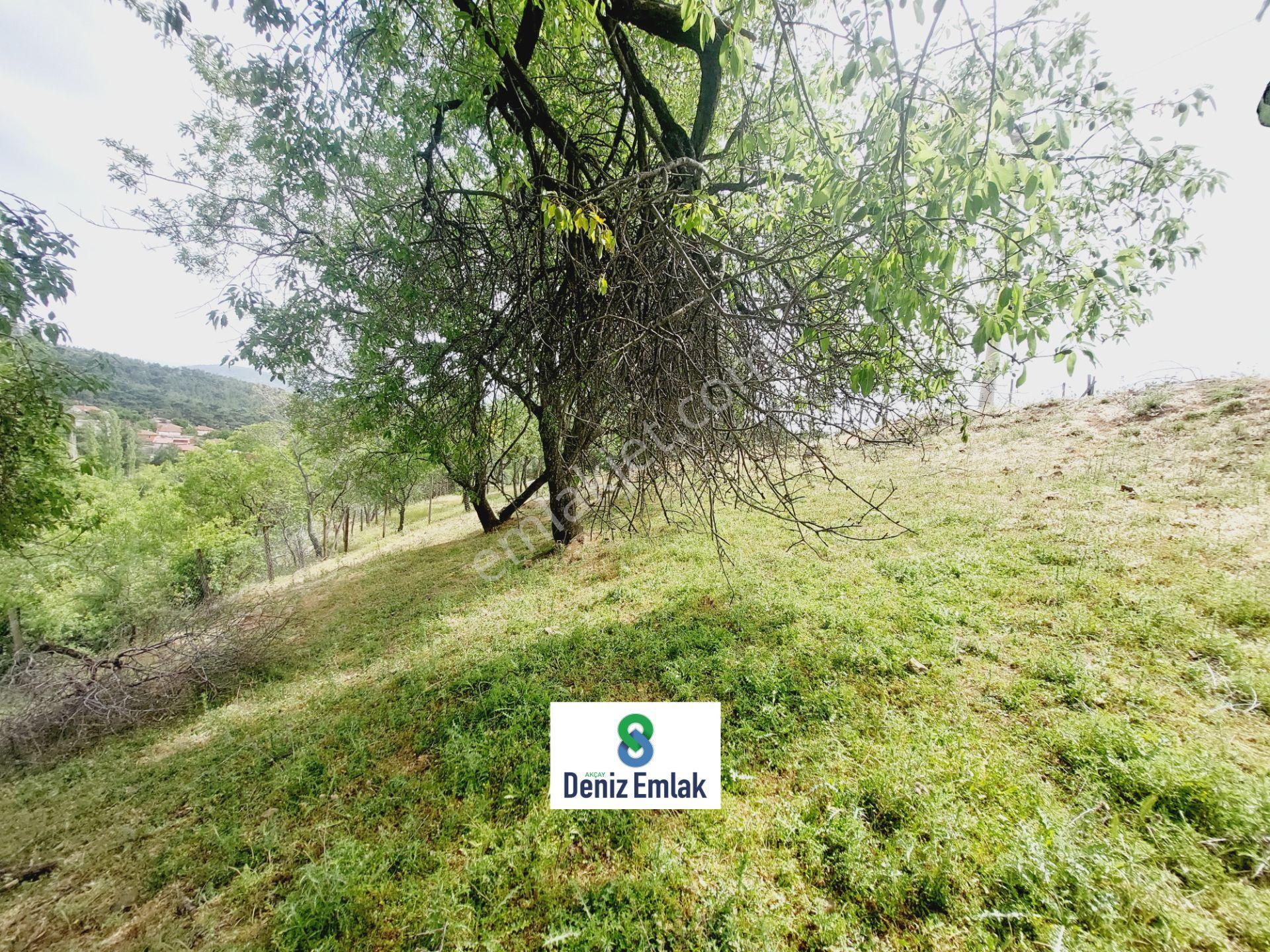 Denizden Havranda Satılık Yola Cephe Yatırımlık 1.014 M2 Bahçe. — fotoğraf 14