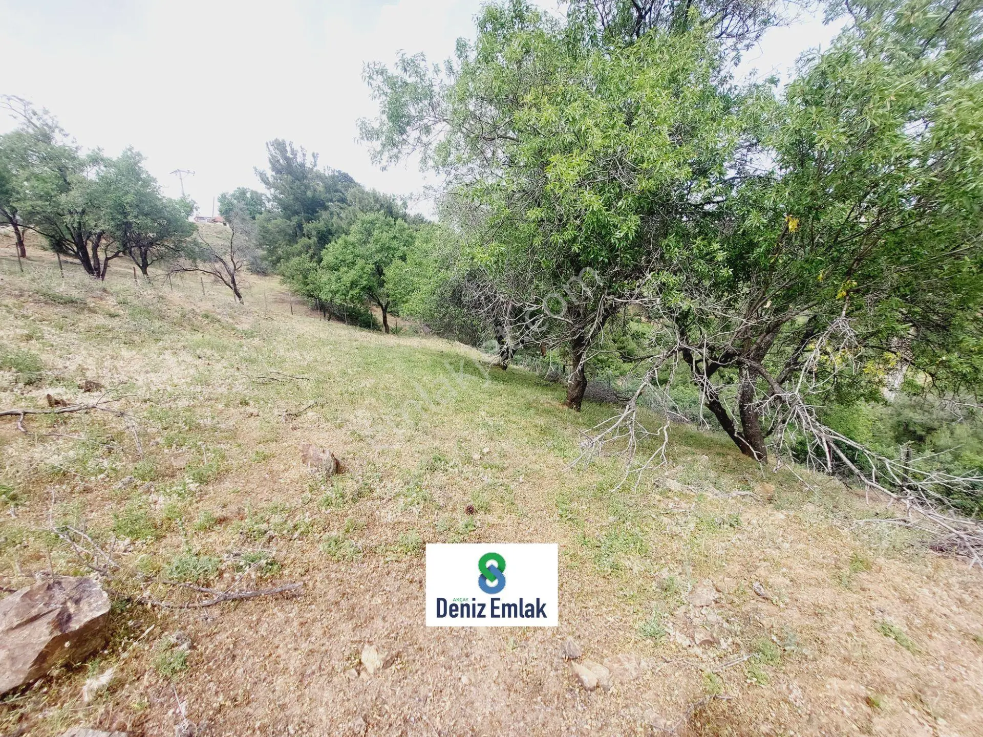 Denizden Havranda Satılık Yola Cephe Yatırımlık 1.014 M2 Bahçe. — fotoğraf 15