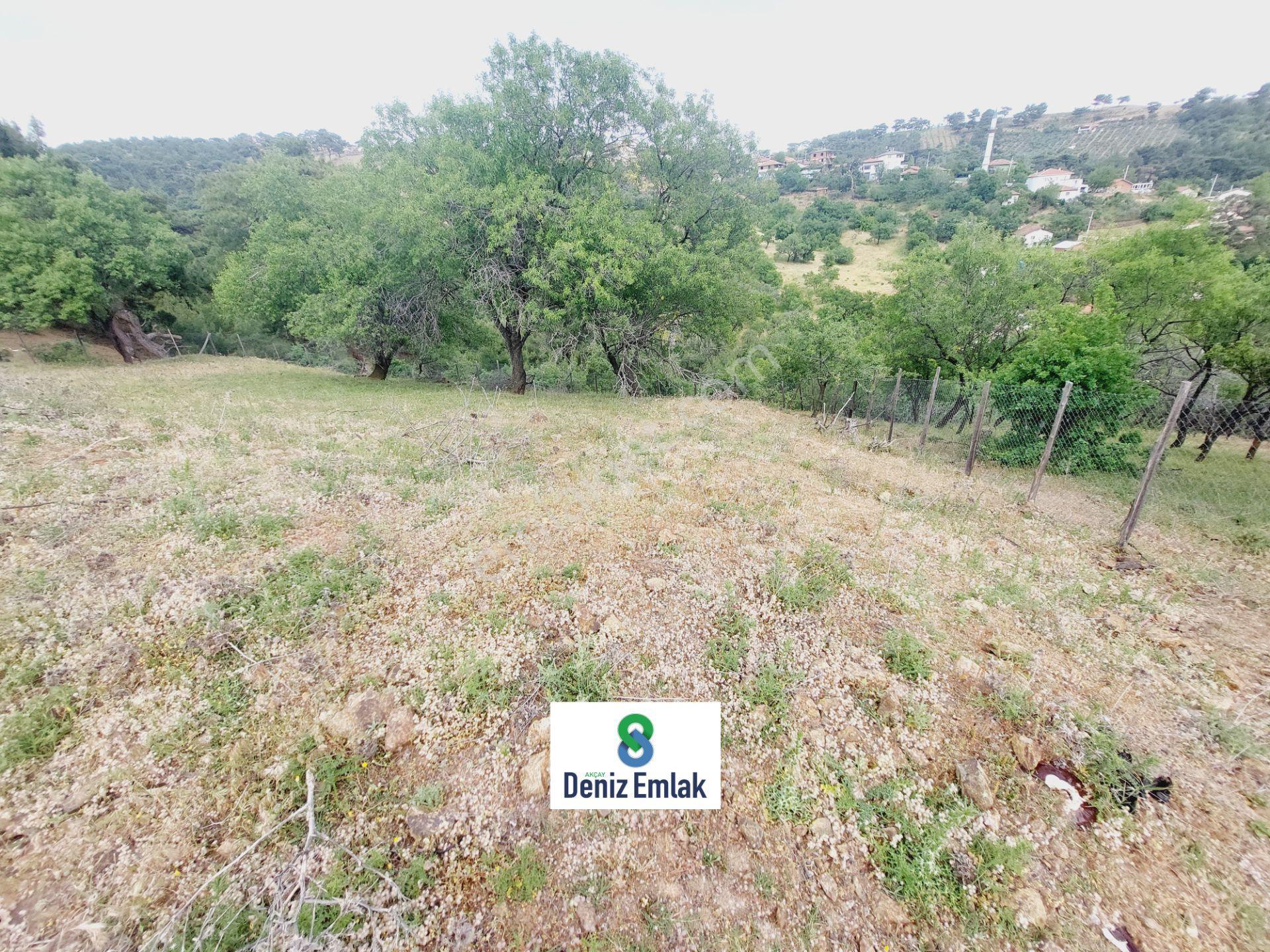 Denizden Havranda Satılık Yola Cephe Yatırımlık 1.014 M2 Bahçe. — fotoğraf 18