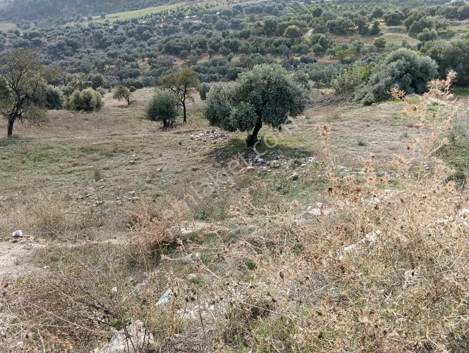 Mersin Akdeniz Hebilli Mahallesi Satılık 2428m2 Arsa — fotoğraf 2